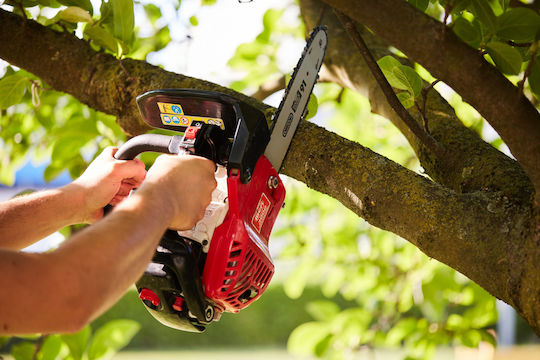 IBEA Gasoline Chainsaw 3.5kg with Blade 35cm