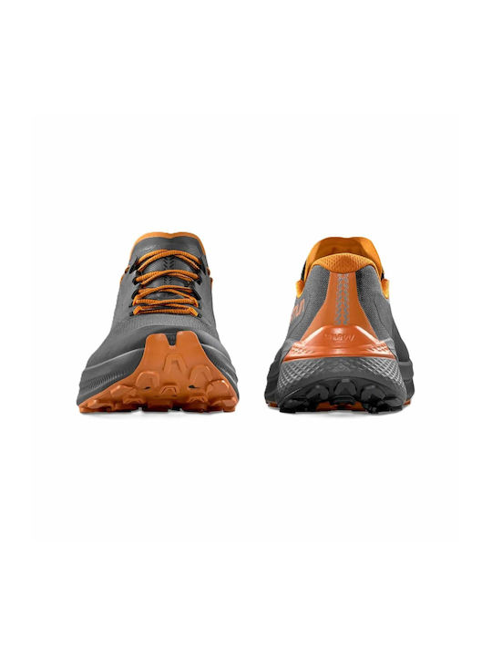 Prodigio Ultra Sport Shoes Running Carbon / Marmalade
