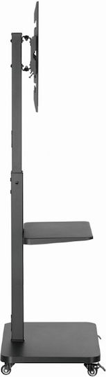 Gembird TVS-75S-02 Fernsehhalterung Boden bis 75" Schwarz
