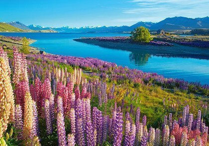 Lake Tekapo, New Zealand Puzzle 2D 500buc