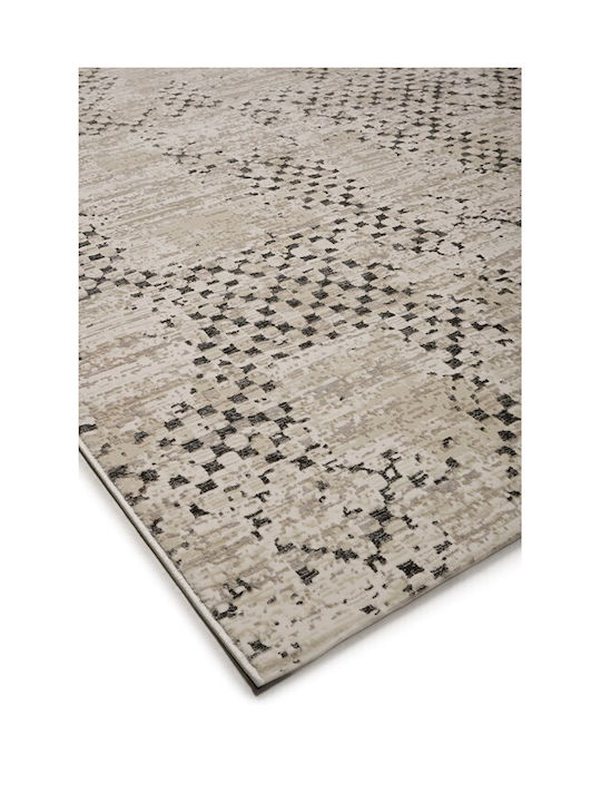 Viokarpet Senbrun 9305a S Alb P Vison 160x230
