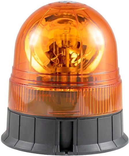 JBM Far Auto LED 12V cu Portocaliu Iluminare