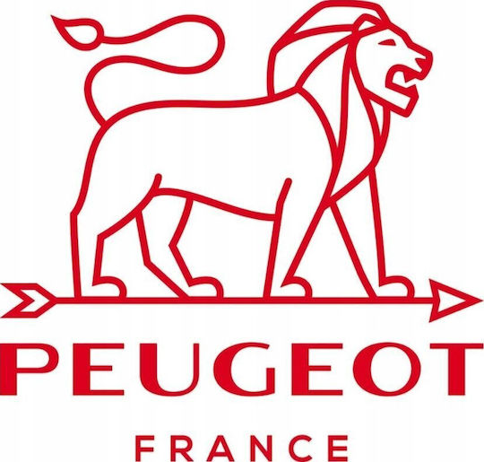 Peugeot Platz Feuerfestes Geschirr Keramik 36x36cm 1Stück