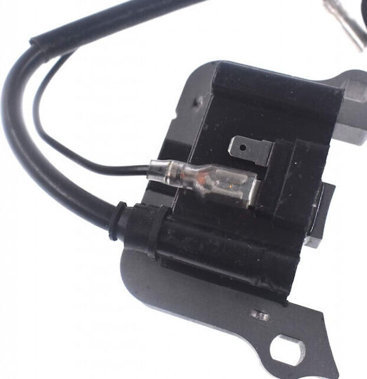 Kawasaki Td40 Td48 Bobină de Aprindere pentru Διάφορα Εξαρτήματα pentru Χορτοκοπτικά