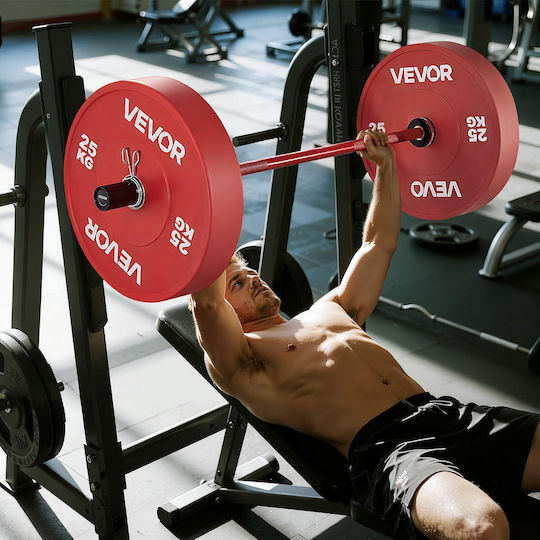 Vevor Ίσια Μπάρα Ολυμπιακού Τύπου Φ50 10kg Μήκους 120cm με Κολάρα Ασφαλείας