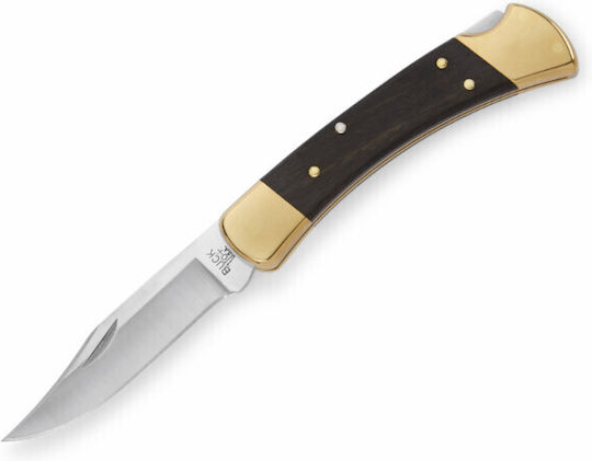 Buck Folding Hunter Σουγιάς Μαύρος σε Δερμάτινη Θήκη