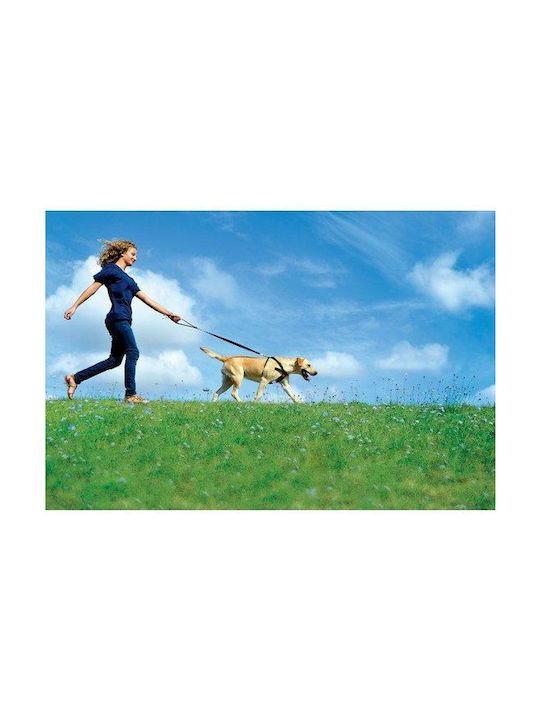 Zolux Hundegeschirr Groß 403330