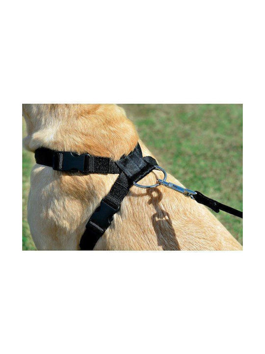 Zolux Hundegeschirr Groß 403330