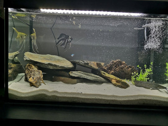 Sera Reef Salt Aquarium Wasserbehandlung 20kg