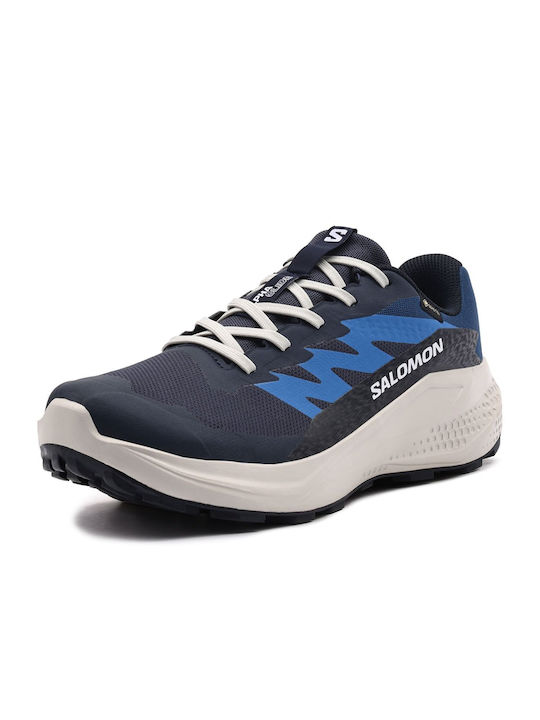 Salomon Alphaglide Ανδρικά Trail Gore-Tex Μπλε