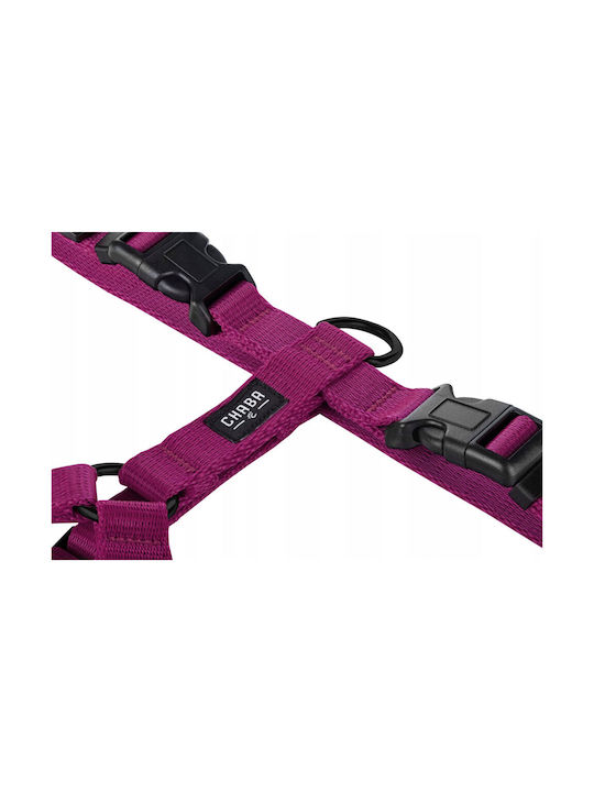 Chaba Chaba Guard L Harness Blue 35-60 50-75 2.5cm