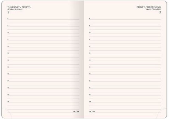 The Writing Fields Softline Daily Diary 13.8x20.4 Cappuccino 20.02003 2026