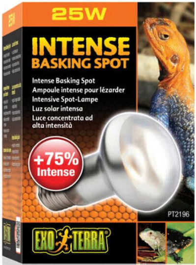 Exo Terra Intense Basking Spot 100w Accessory for Reptiles Terrarium