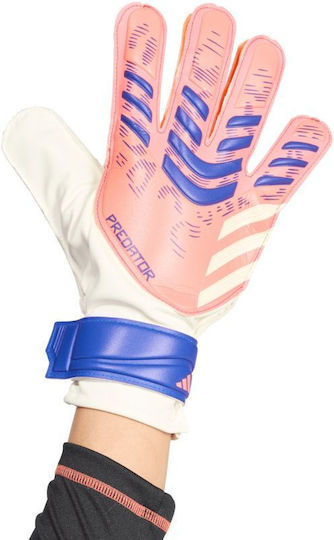 adidas Predator Pro Torwarthandschuhe Erwachsene Weiß