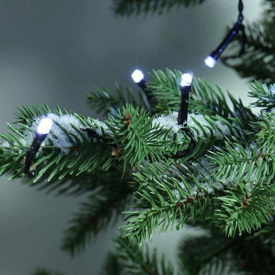1000 Lights LED 55m. Cold White type Octopus 1pcs