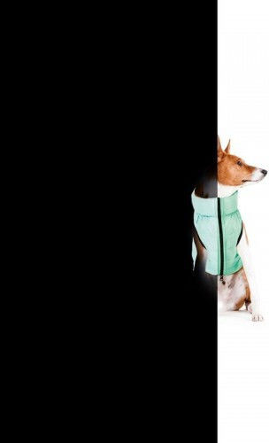 Wau Dog Яке Водоустойчиво Двулицево Светлоотразително Зелено 40cm M
