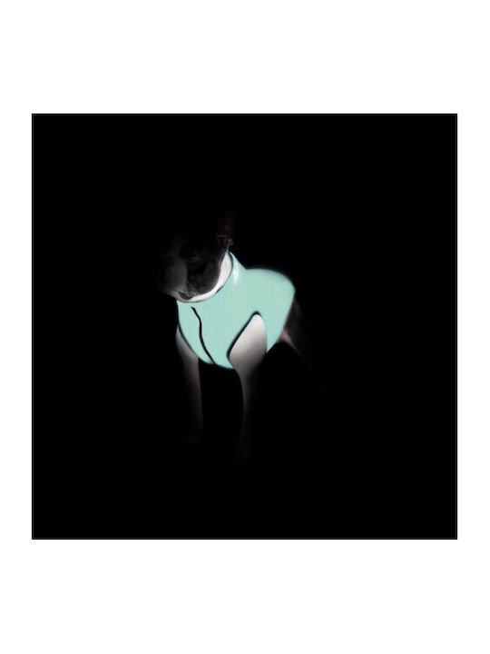 Wau Dog Waterproof Reversible Fluorescent Orange Dog Coat 22cm XSmall