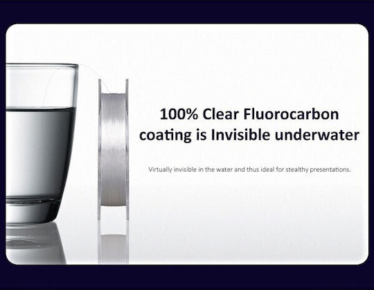 Fluoro Carbon Noeby Nonsuch 100m 0,17mm