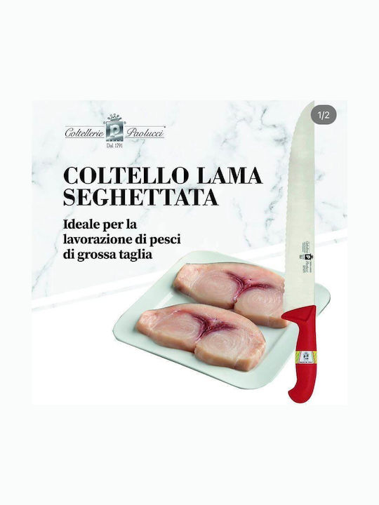 Paolucci Coltellerie Μαχαίρι Chef από Ανοξείδωτο Ατσάλι 31cm