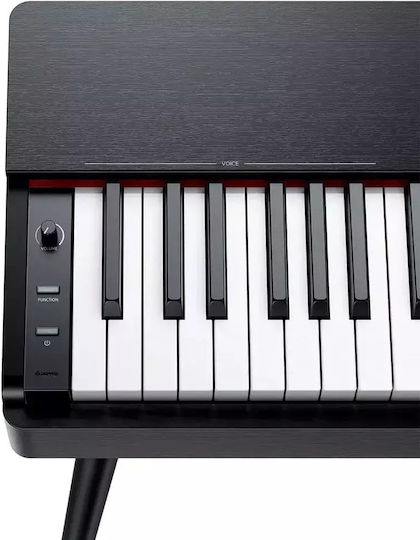 Donner Electric Stage Piano S-100B Set with 88 Weighted Keys and Connection with Headphones