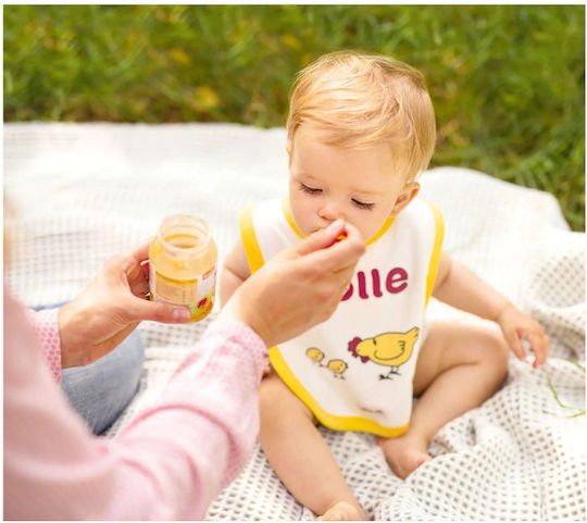 Holle Baby Meal Chicken with Pumpkin with Flavor Chicken with Pumpkin No Added Sugar 190gr for 5+ Months