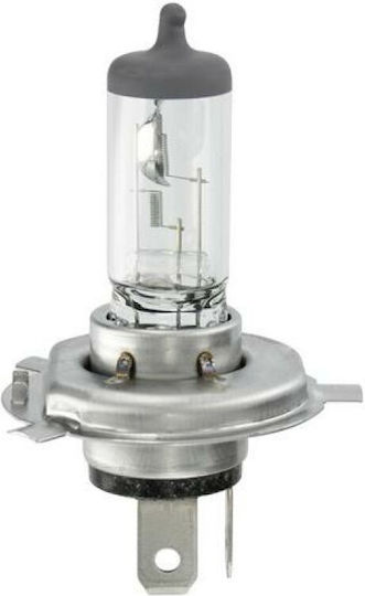Bec Far H4 12v P43t 60/55w Narva