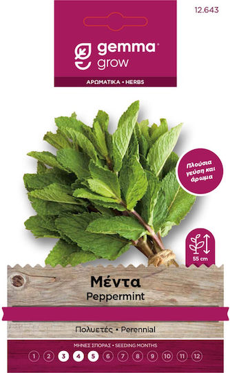 Oem Mentă Mentha Spicata