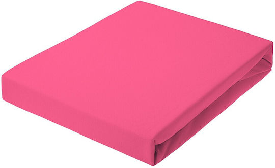 Kotonia Home Cearșaf King Size cu Elastic 180x200+20cm. Fuchsia