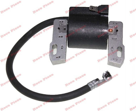 Ignition Briggs&stratton 843931
