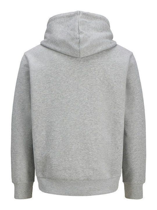 Sweatshirt mit Kapuze Gray