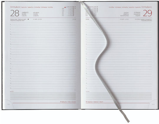 THeofylaktos Zilnic Agenda 2026 Albastră 17x24cm