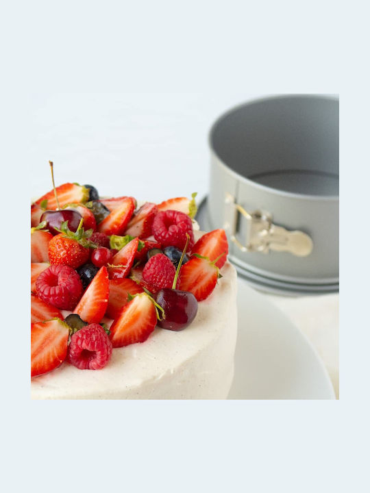 Patisse Backform Rostfreier Stahl 22x22cm 1cm