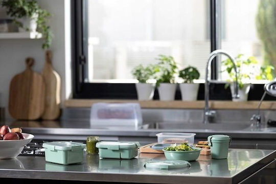 Food Container Sandwich Rectangular 0.7l Smart Eco To Go 20x15x5cm Soft Green