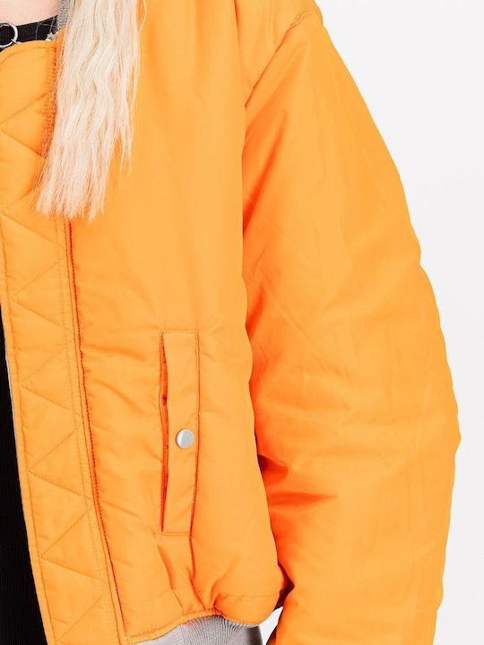 Alpha Jacket Gray