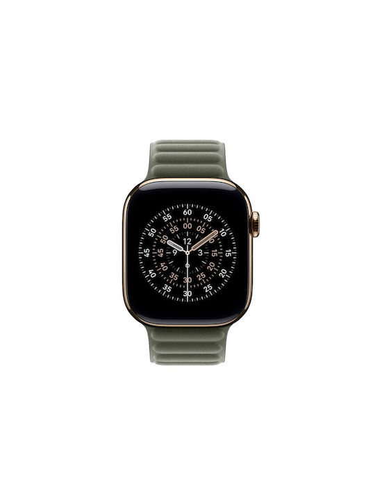 Apple Magnetic Link 42mm Gri Salvie M L