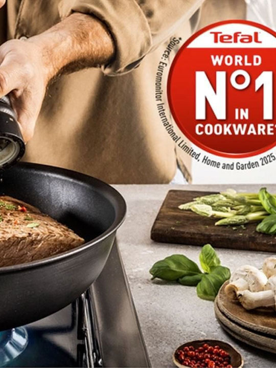 Tefal Excellence Pan made of Aluminum with Non-Stick Coating 30cm