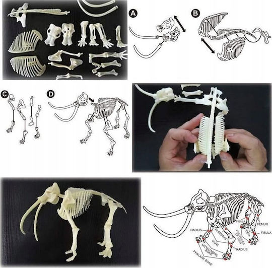 Clementoni Educational Game Dinosaur Excavation