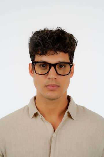 Blue Light Rote Rabe Serie A Bernstein Schutzbrille