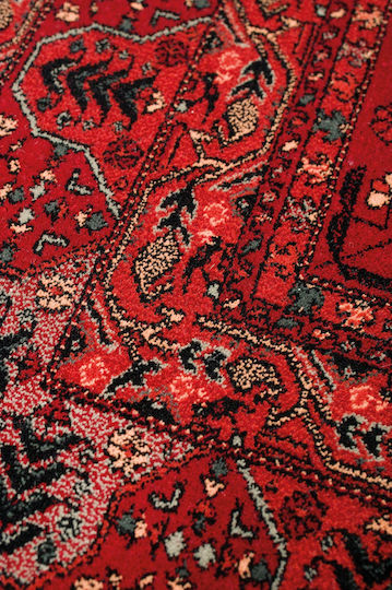 Viokarpet Kayam 4302 Teppich Rechteckig Wolle
