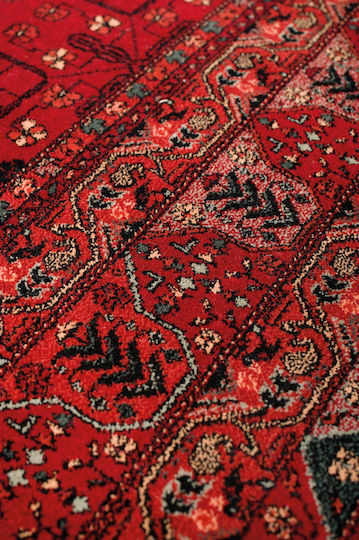 Viokarpet Kayam 4302 Teppich Rechteckig Wolle