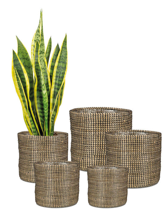 Scheurich Planter Wicker Black