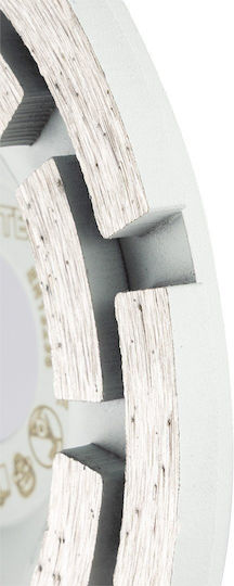 Diamond Grinding Disc 2 Segments 180 X 22.2 Mm Dry Use
