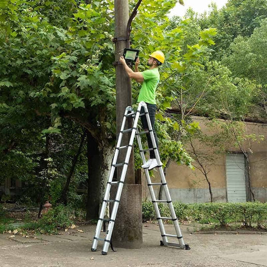 Veritas Telescopic Ladder Aluminum of Steps