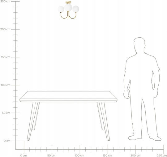 Beliani Ceiling Mount Light White