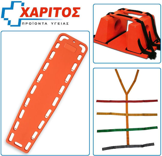 Carrier Belt