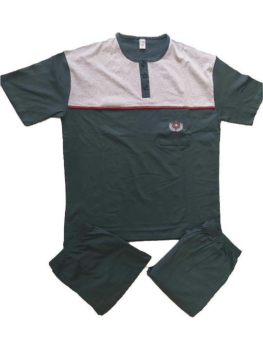 Lion Grey-green
