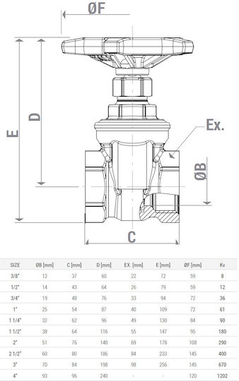 Giacomini R55y002 Клапан Врата Месинг 3/8” Вътрешна Резба 16 Бар 110°c