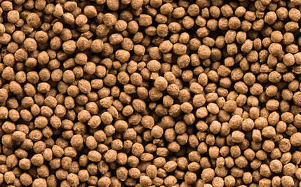 Sera Goldy Gran Fish Food for Goldfish in Granules with Spirulina 100ml