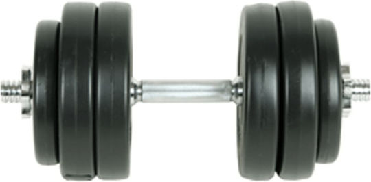 vidaXL Set de gantere 2x 15kg