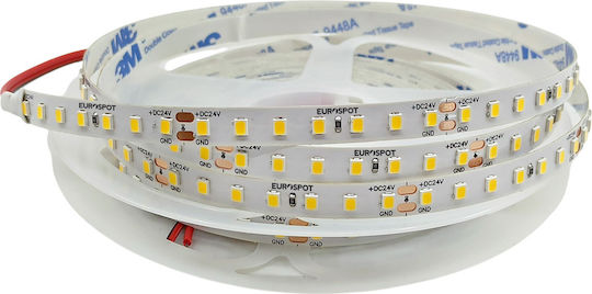 Eurospot Ταινία LED 24V Ψυχρό Λευκό Φως 5m Τύπου SMD2835